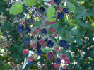 060820123466