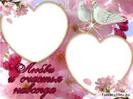 images (7)