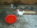 DSCF0738