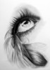 feathered_eye_by_witchi1976