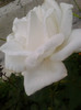 Photo0405