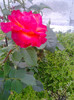 Photo0406
