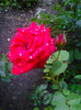 Photo0410