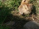 Picture 4091