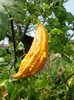 P8085860