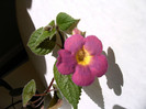 IMAG0011