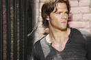 Sam (6)