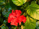DSCN0180