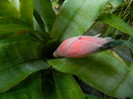 DSCN0182