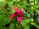 DSCN0183