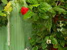 DSCN0186