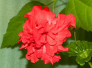 DSCN0187