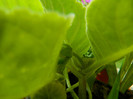 DSCN0190