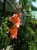 DSCN0198