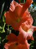 DSCN0200
