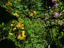 DSCN0202