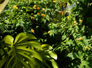 DSCN0203
