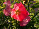 DSCN0210