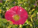DSCN0211