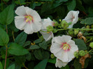 DSCN0214