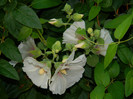 DSCN0215