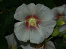 DSCN0216