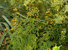 DSCN0217