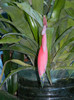 DSCN0221