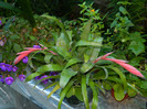 DSCN0225