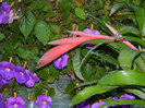 DSCN0227