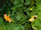 DSCN0229