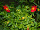 DSCN0232