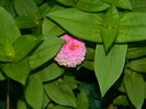 DSCN0234