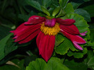 DSCN0236
