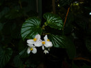 DSCN0257
