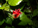 DSCN0258