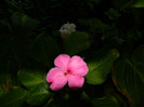 DSCN0260