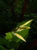 DSCN0263