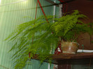 DSCN0265