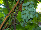DSCN0268