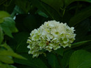 DSCN0271