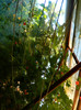DSCN0273