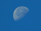 DSCN0277