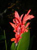 DSCN0280
