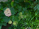 DSCN0282