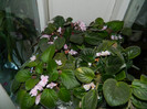 DSCN0298