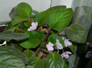 DSCN0300