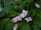 DSCN0301