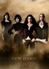 the-women-of-the-cullens-twilight-series-7420061-434-600