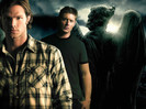 Spn (33)